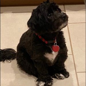 Meet your Posher, Clara